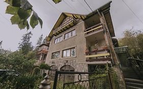 Predoi's Place